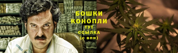 стаф Надым