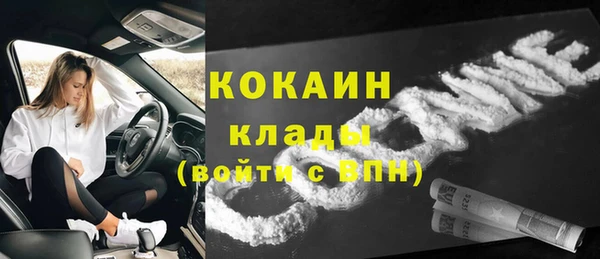 стаф Надым