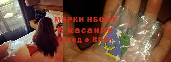 стаф Надым