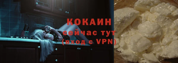 стаф Надым