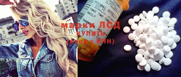 стаф Надым
