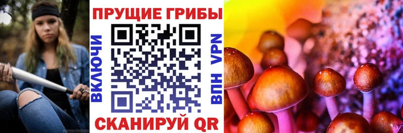 Купить закладки Лыткарино Галлюциногенные грибы ЛСД